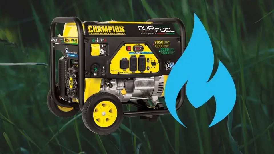 Porable generator runs on a natural gas